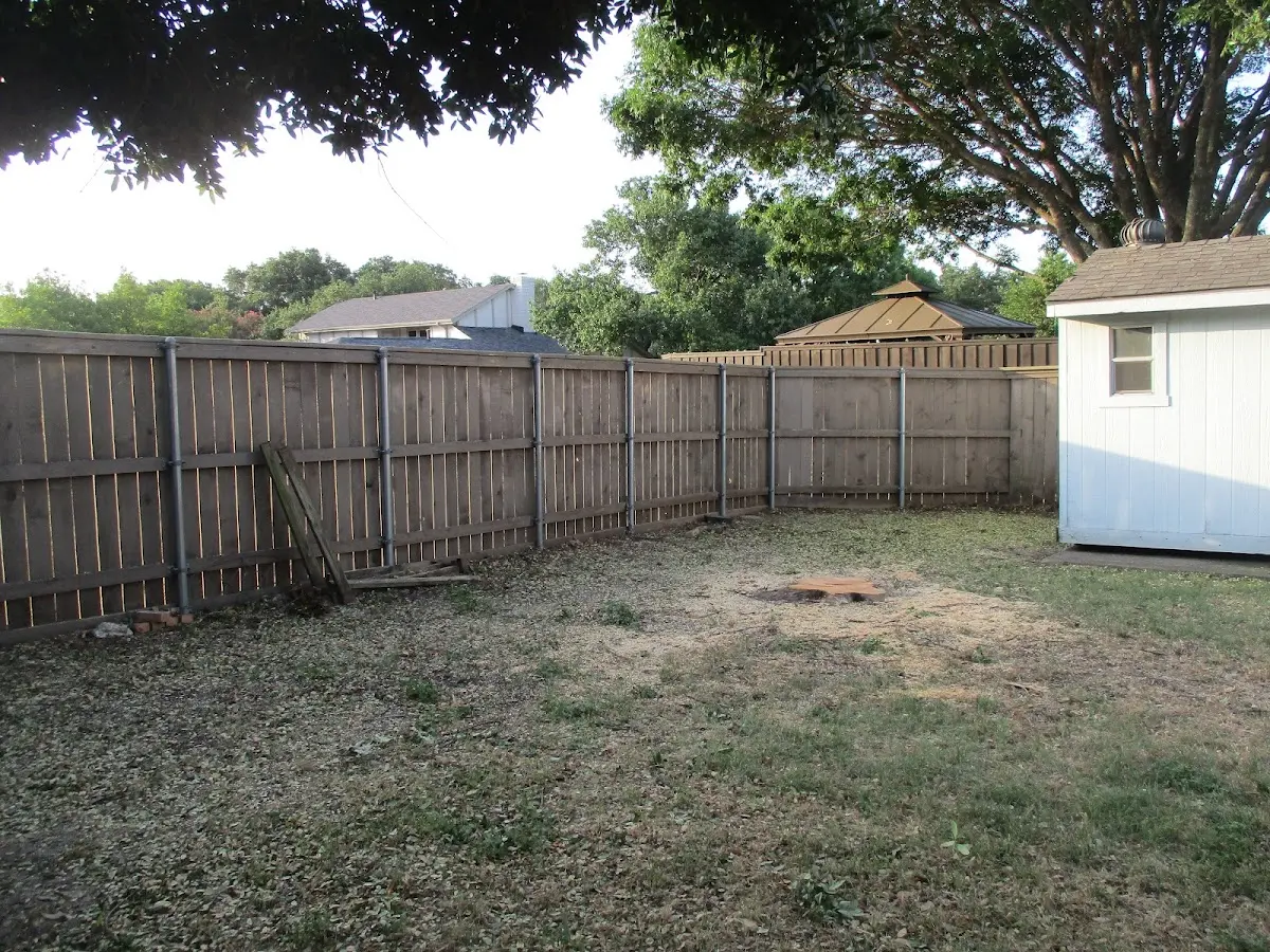 Cleared yard after professional tree removal in Carolina